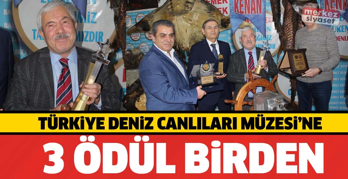 Türkiye Deniz Canlıları Müzesi’ne 3 ödül birden