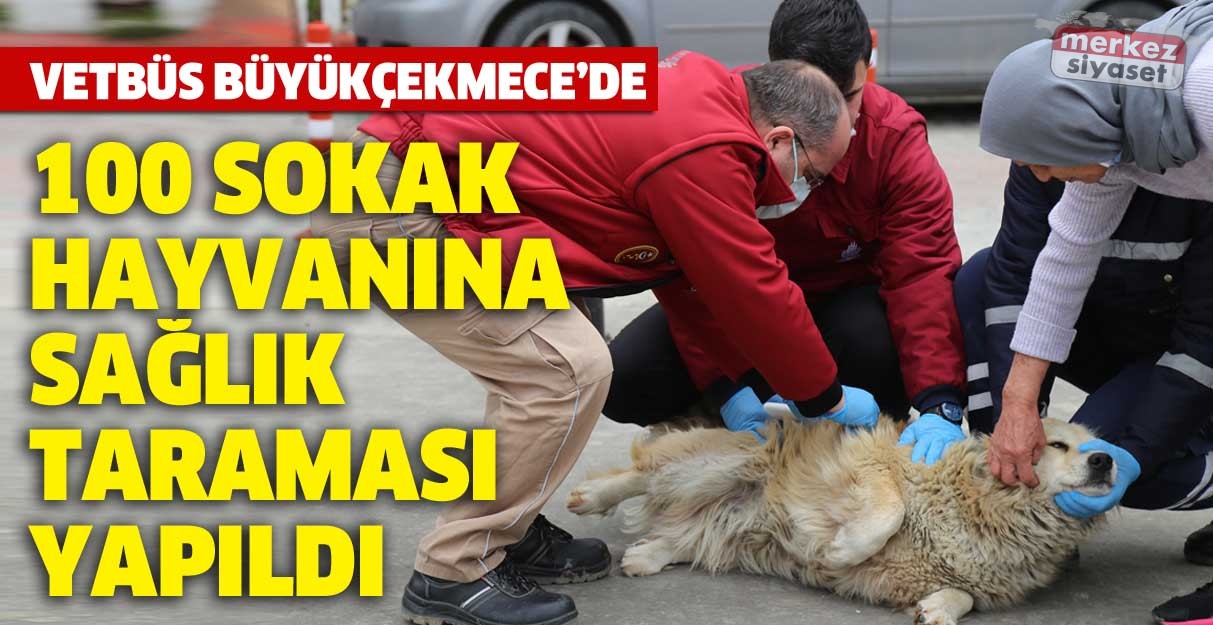 Büyükçekmece’de 100 sokak hayvanına sağlık taraması yapıldı