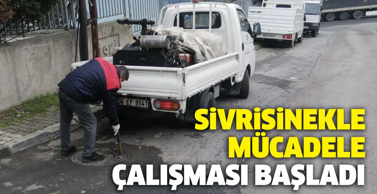 Sivrisinekle mücadele çalışması başladı