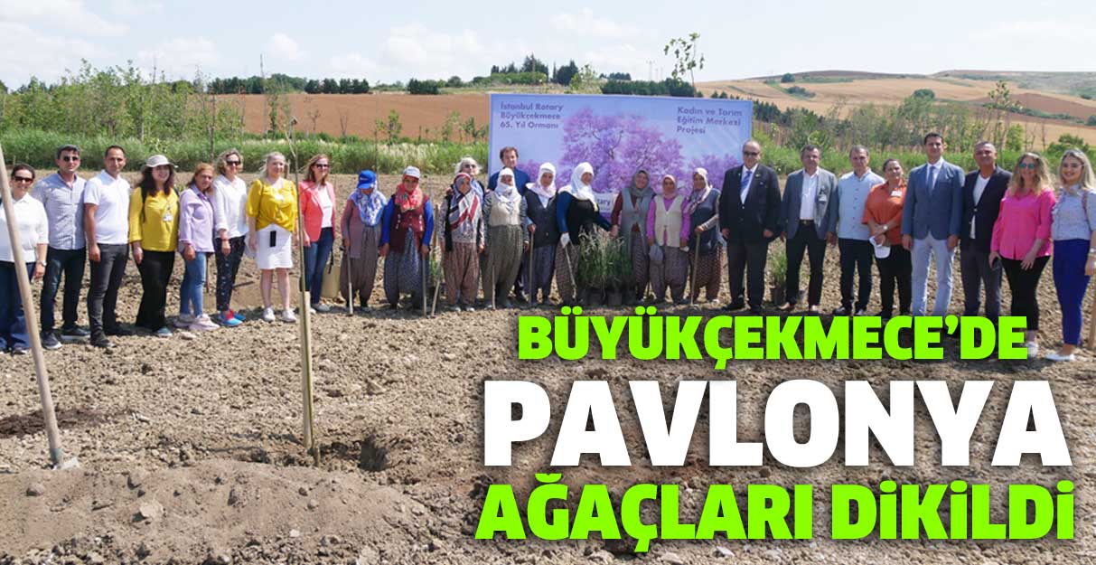 Büyükçekmece’de 5 dönümlük alana Pavlonya ağaçları dikildi