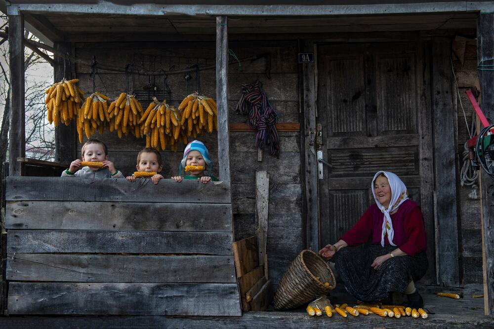 Uluslararası ‘Güler Ertan’ Fotoğraf Yarışması sonuçları açıklandı