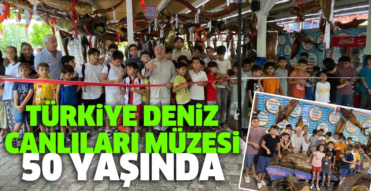 Türkiye Deniz Canlıları müzesi 50 yaşında