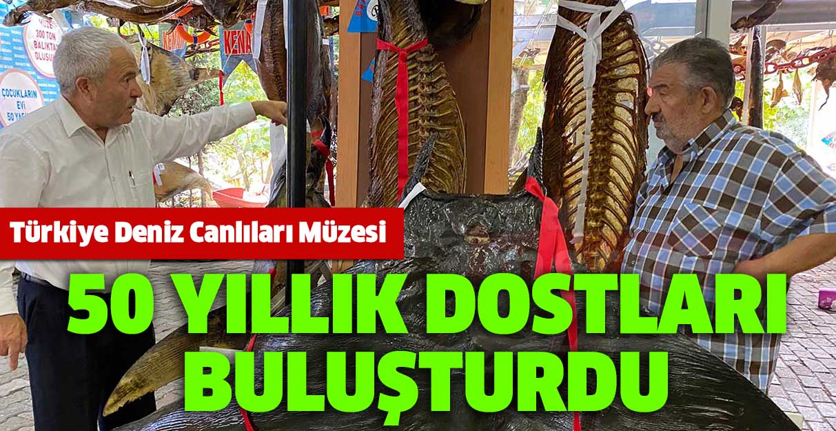 Türkiye Deniz Canlıları Müzesi 50 yıllık dostları buluşturdu