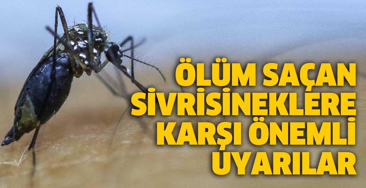 Ölüm saçan sivrisineklere karşı önemli uyarılar