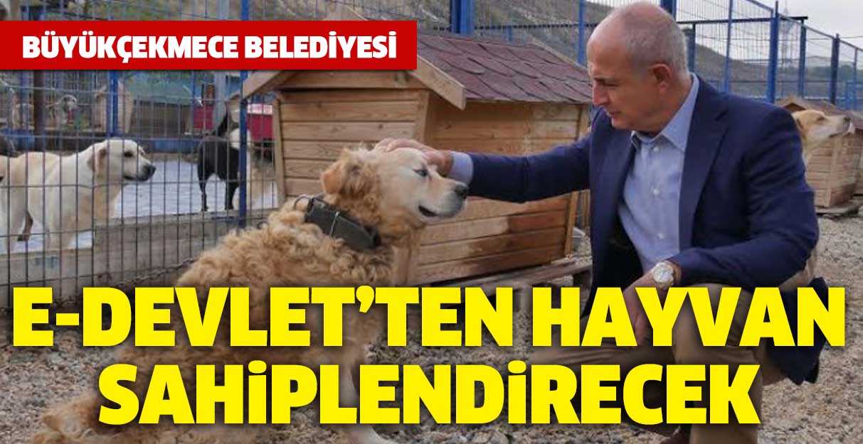 Büyükçekmece Belediyesi e-Devlet’ten hayvan sahiplendirecek