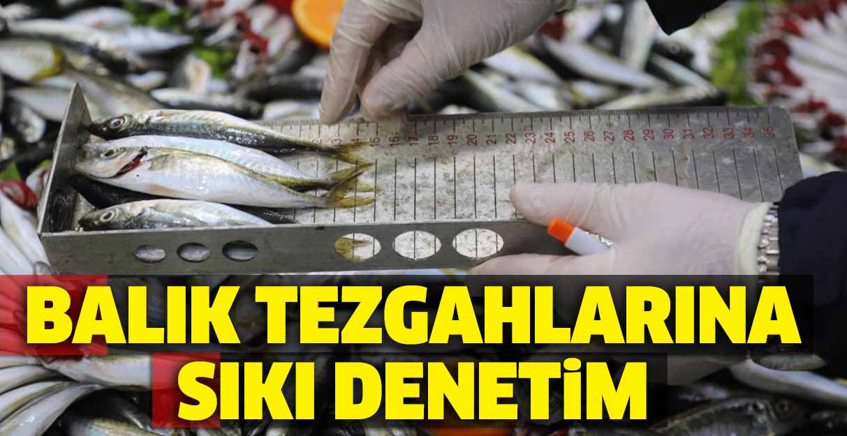 Balık tezgahlarına sıkı denetim