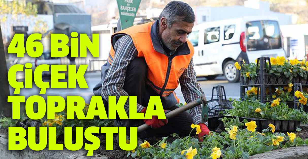 46 bin çiçek toprakla buluştu