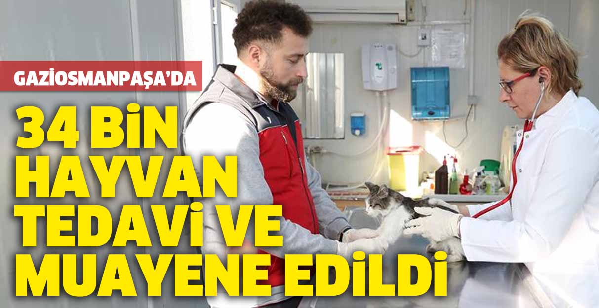 34 bin hayvan tedavi ve muayene edildi