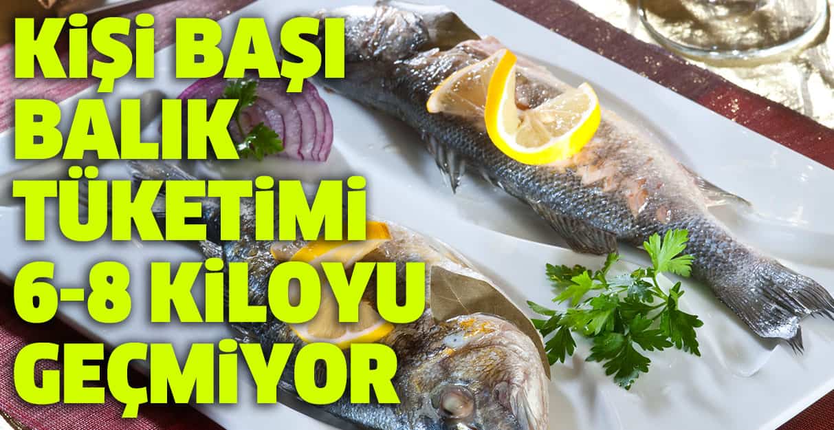 Kişi başı balık tüketimi 6-8 kiloyu geçmiyor