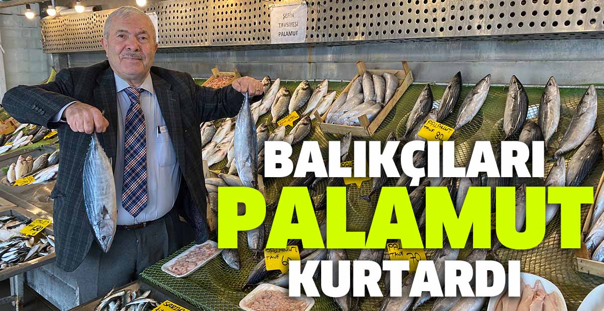 Balıkçıları palamut kurtardı