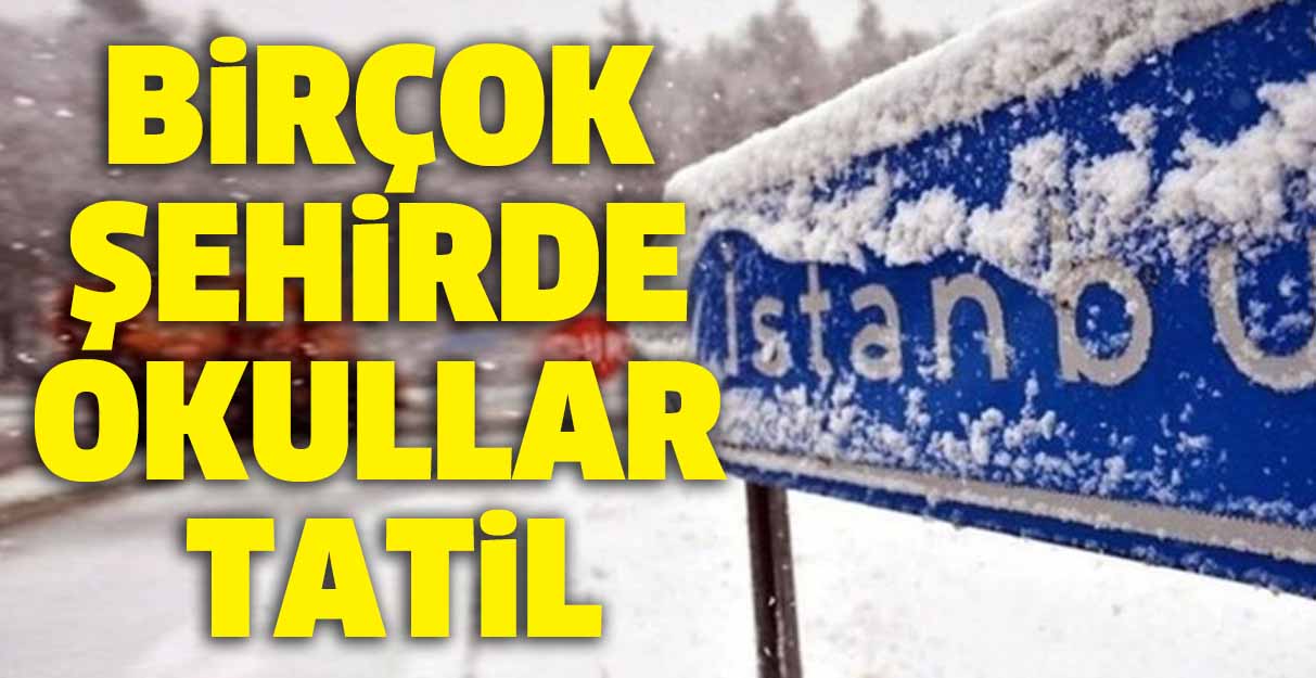 Birçok şehirde okullar tatil