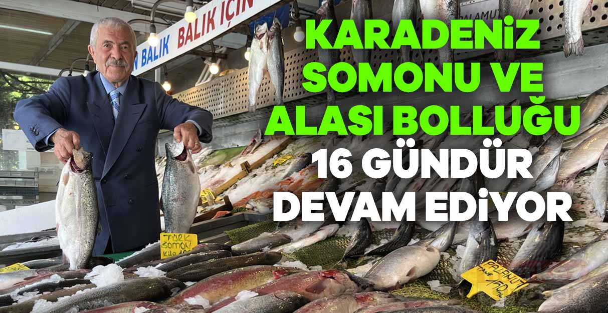 Karadeniz somonu ve Karadeniz alası bolluğu 16 gündür devam ediyor