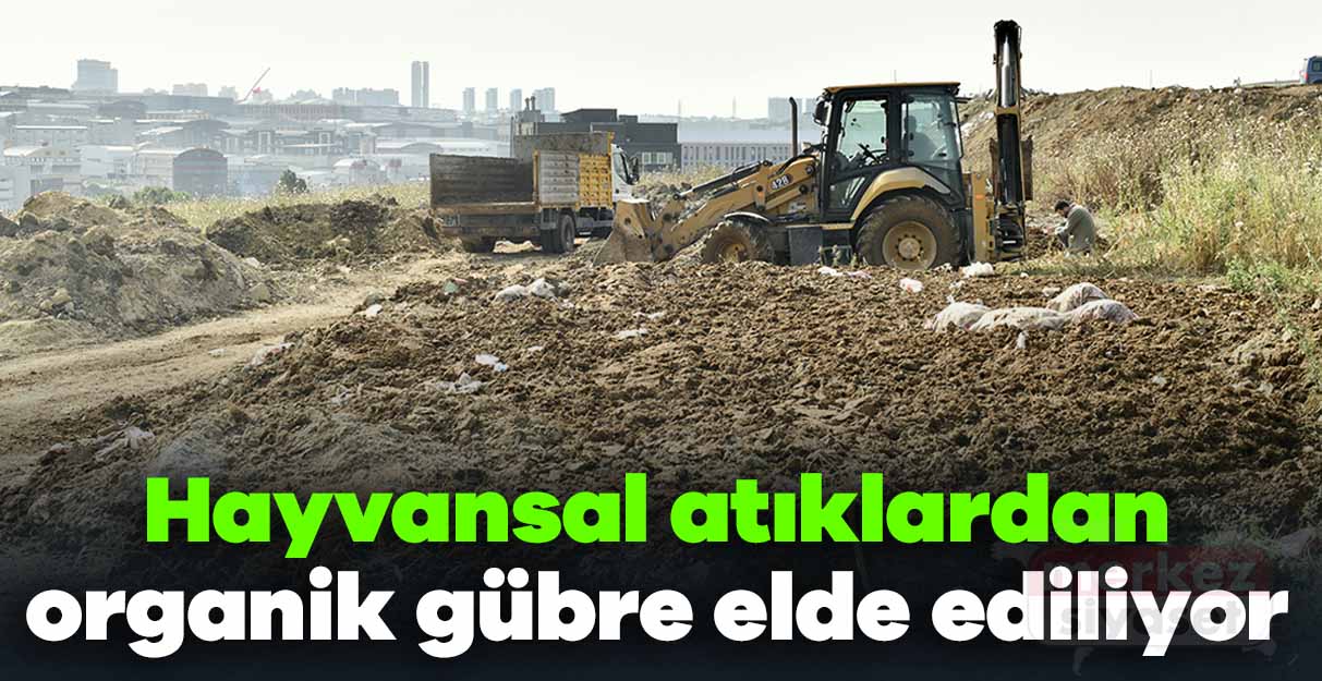 Hayvansal atıklardan organik gübre elde edildi