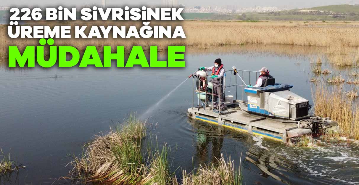 226 bin sivrisinek üreme kaynağına müdahale