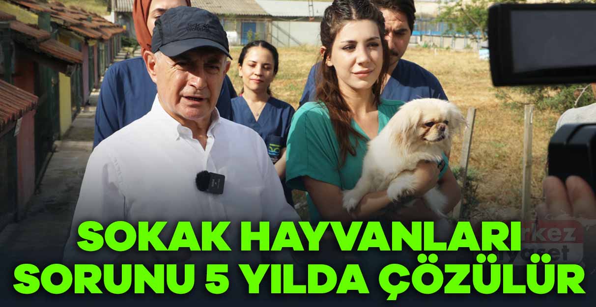 Hasan Akgün: Sokak hayvanları sorunu 5 yılda çözülür