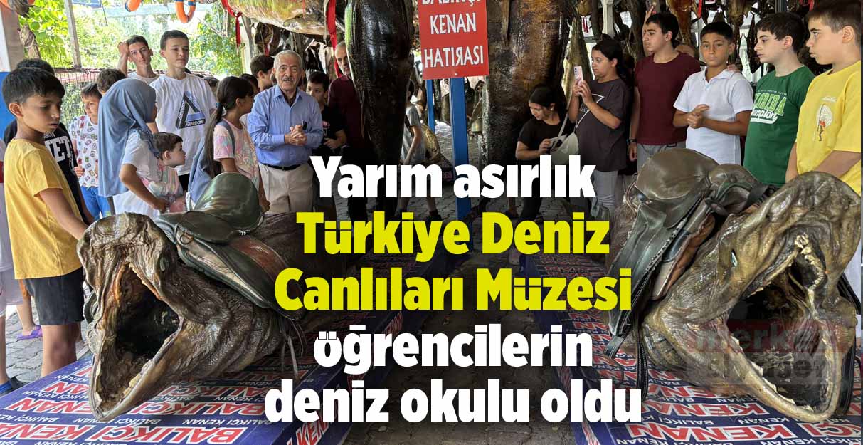 Yarım asırlık Türkiye Deniz Canlıları Müzesi öğrencilerin deniz okulu oldu