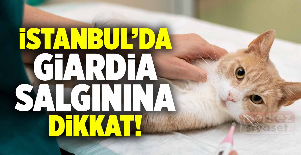 İstanbul’da Giardia salgınına dikkat!