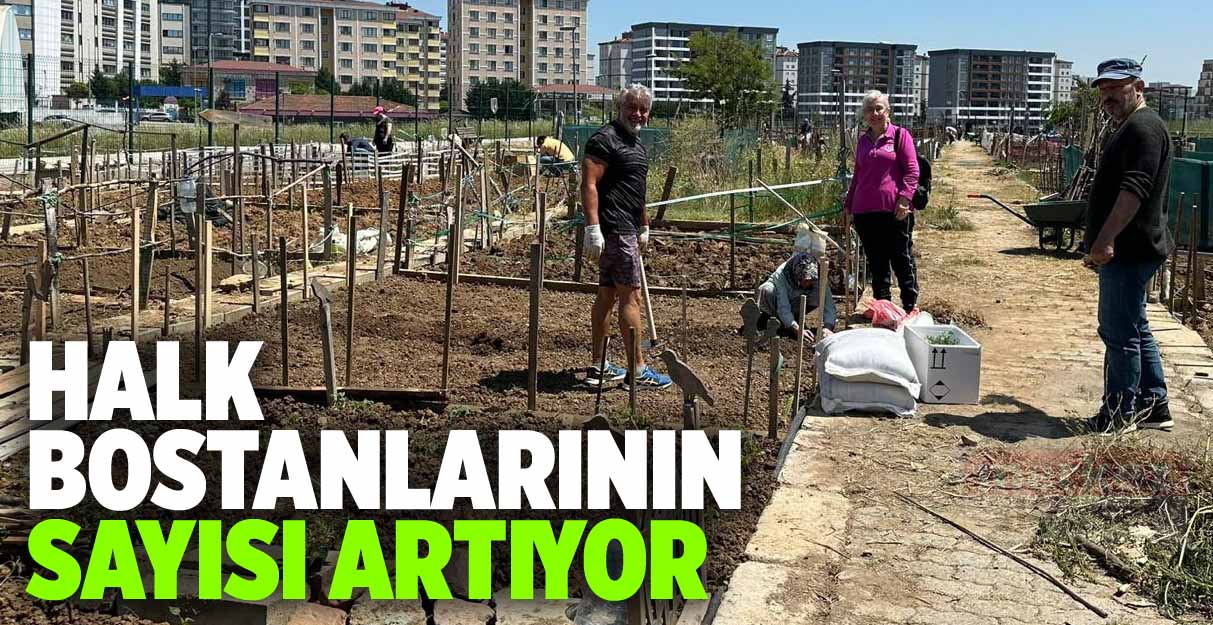 Halk bostanlarının sayısı artıyor