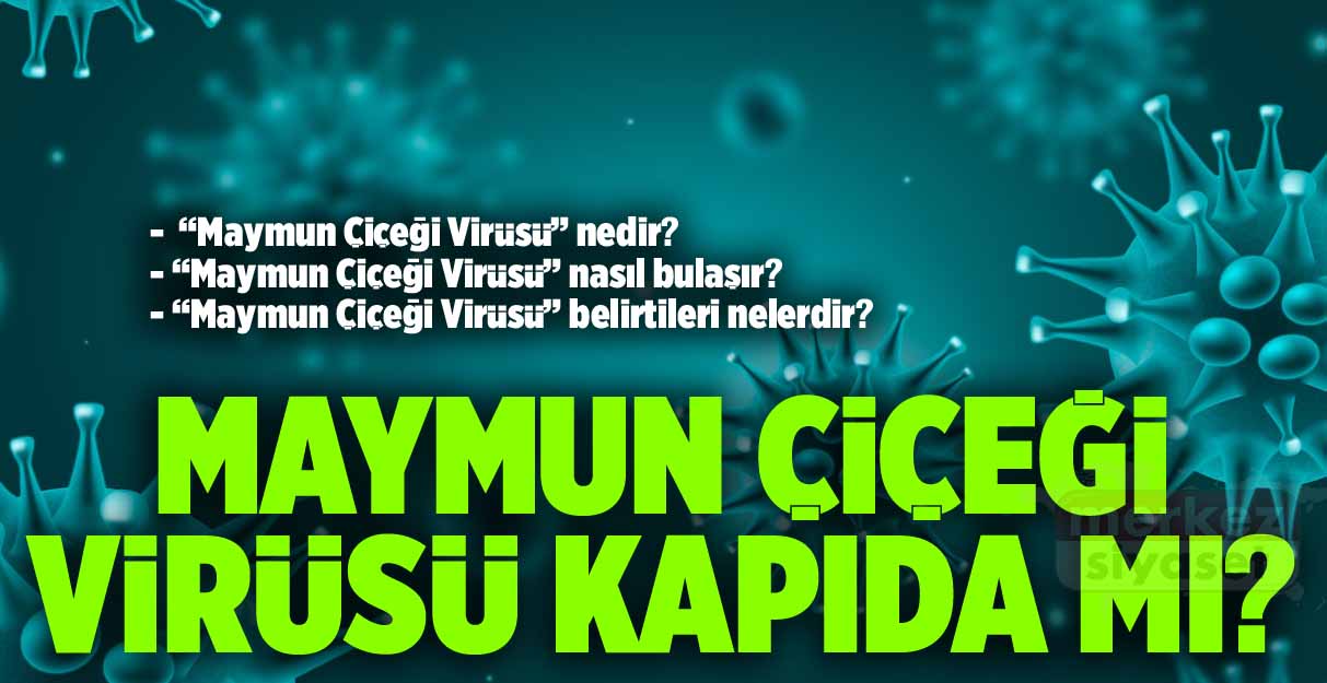 Maymun Çiçeği Virüsü kapıda mı?