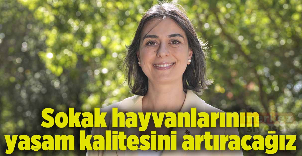 Sinem Dedetaş: Sokak hayvanlarının yaşam kalitesini artıracağız