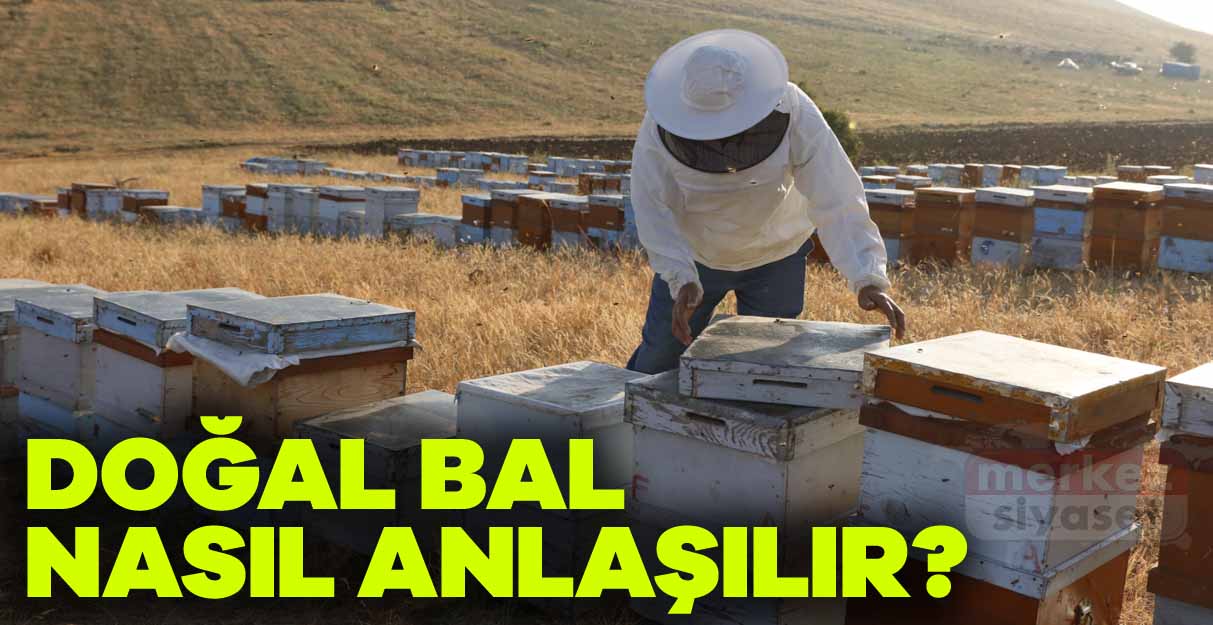 Doğal bal nasıl anlaşılır