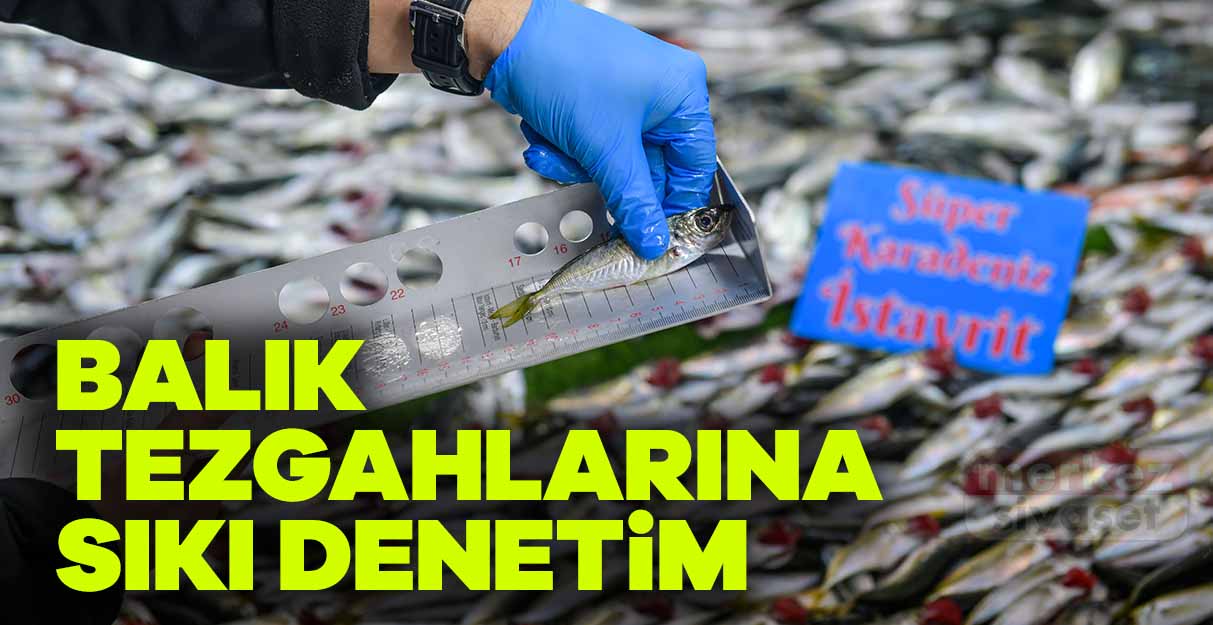 Balık tezgahlarına sıkı denetim