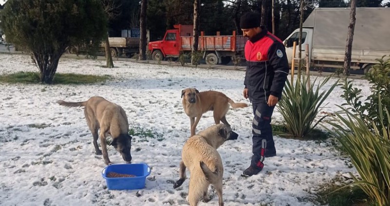 Silivri’de sokak hayvanları unutulmuyor