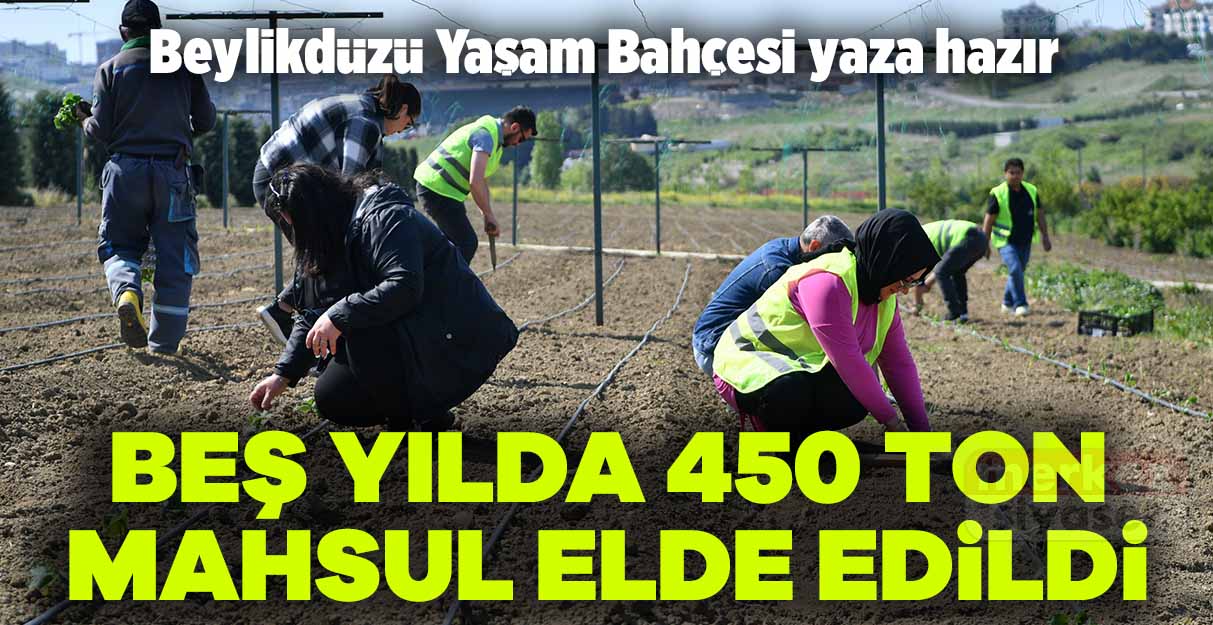 Beylikdüzü Yaşam Bahçesi yaza hazır