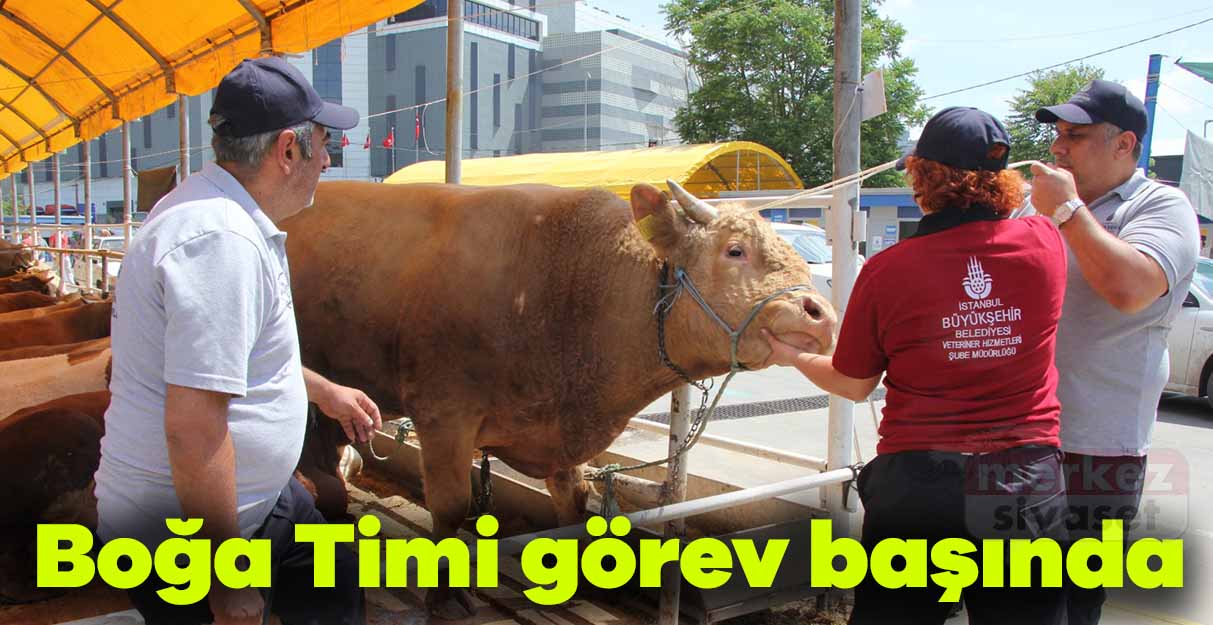 Boğa Timi görev başında