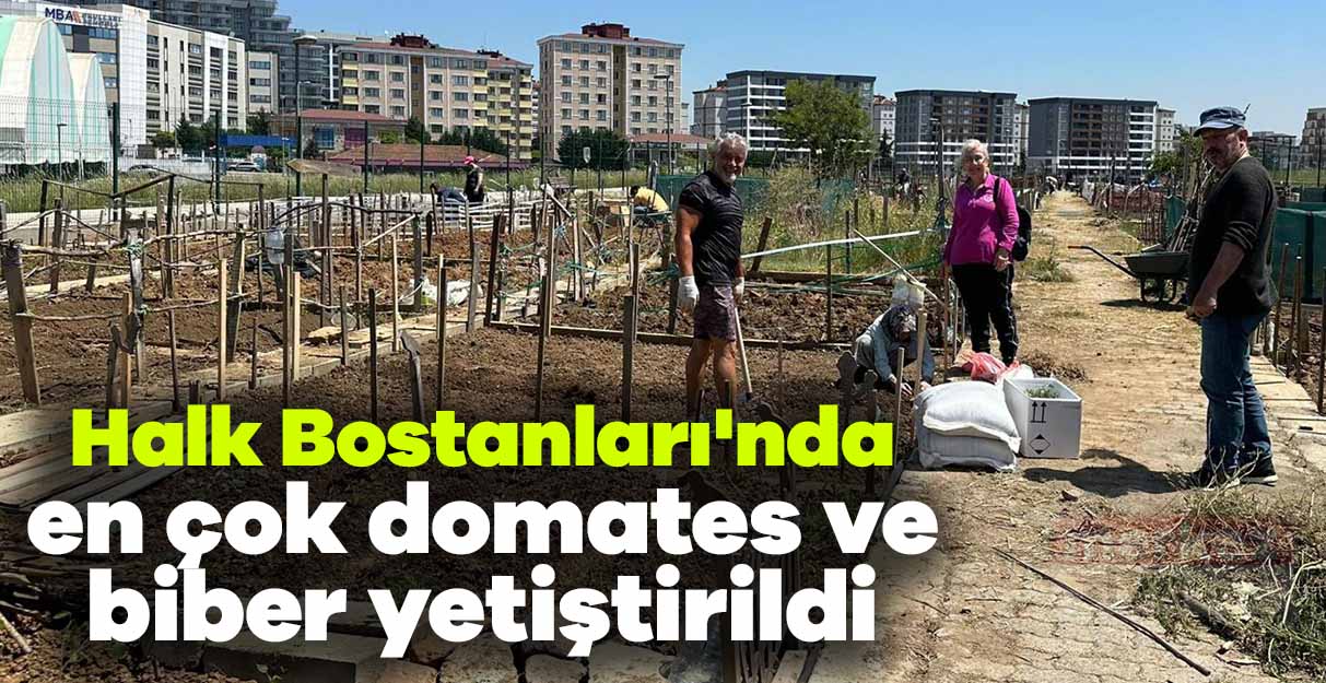 Halk Bostanları’nda en çok domates ve biber yetiştirildi