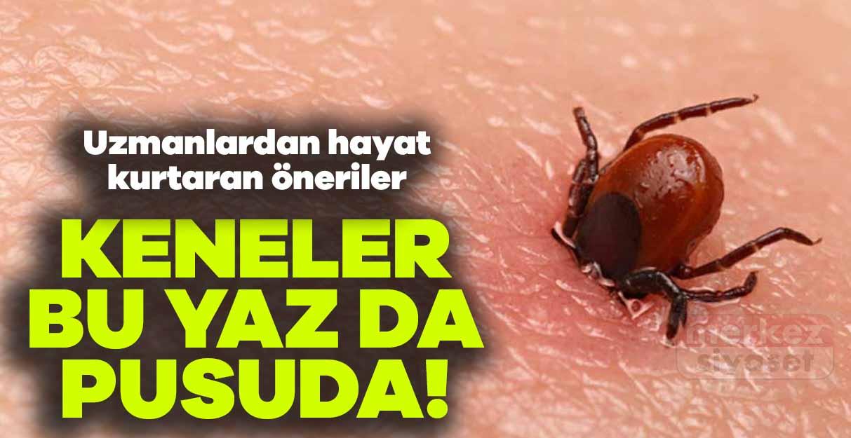 Keneler bu yaz da pusuda! Uzmanlardan hayat kurtaran öneriler