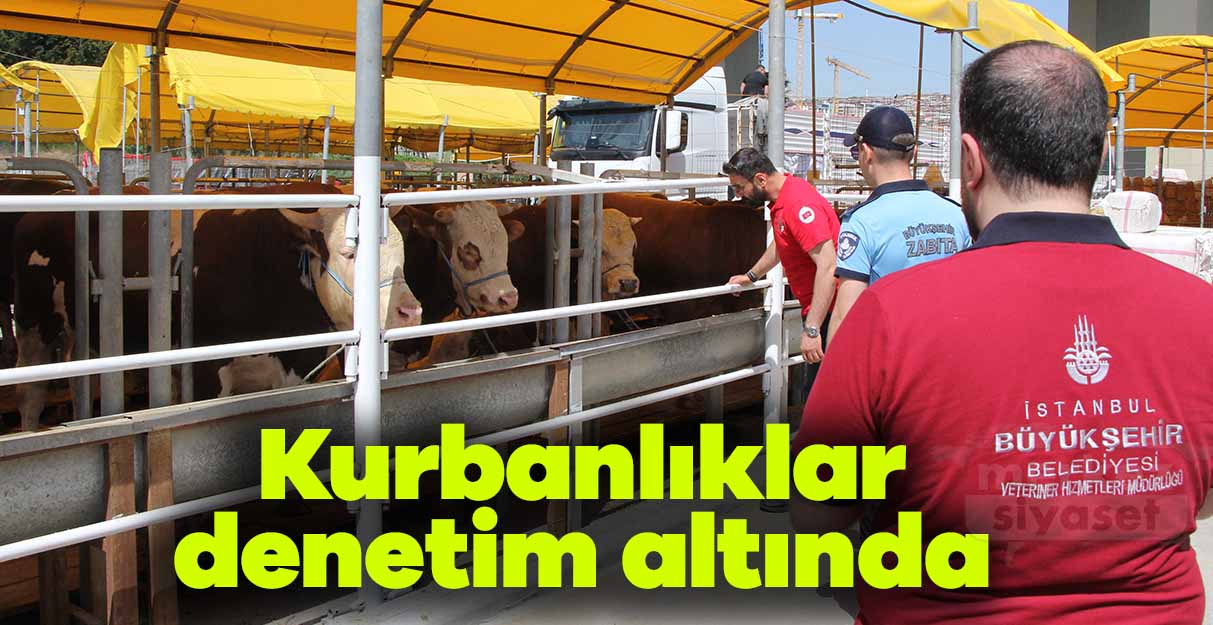 Kurbanlıklar denetim altında
