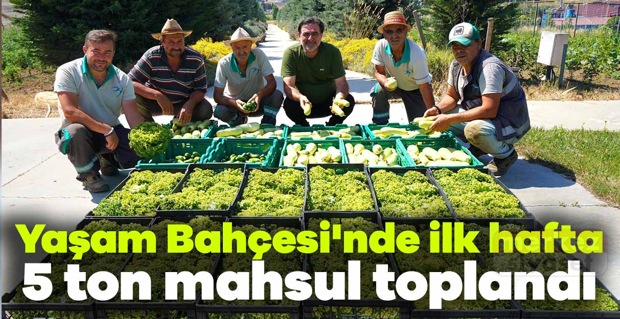 Yaşam Bahçesi’nde ilk hafta 5 ton mahsul toplandı