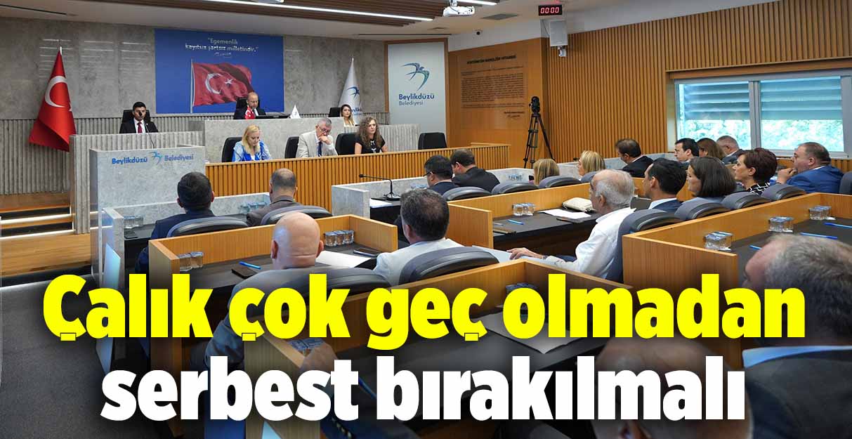 Mehmet Murat Çalık çok geç olmadan serbest bırakılmalı