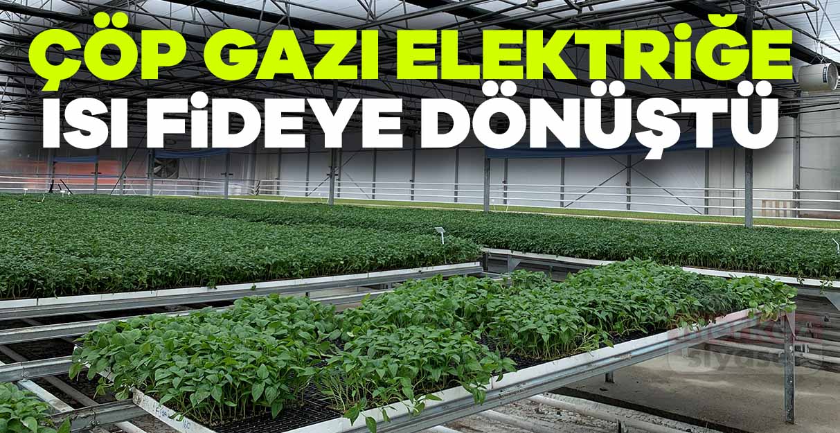 Çöp gazı elektriğe ısı fideye dönüştü