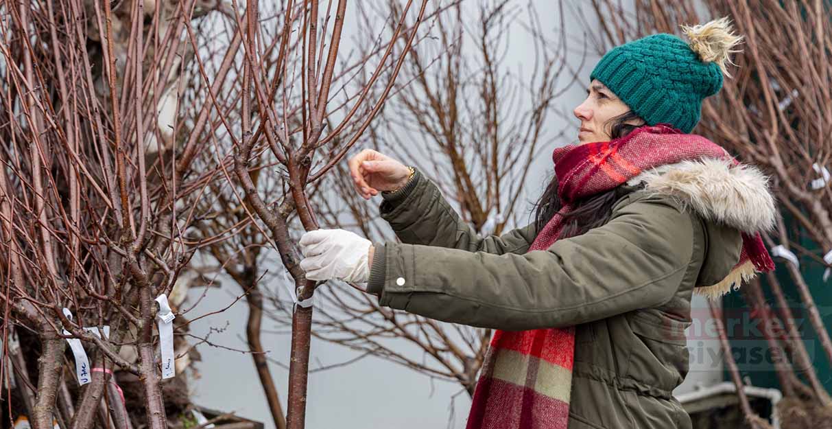 Bahçe Marketlere yoğun ilgi