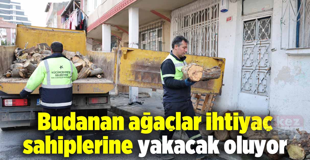 Budanan ağaçlar ihtiyaç sahiplerine yakacak oluyor