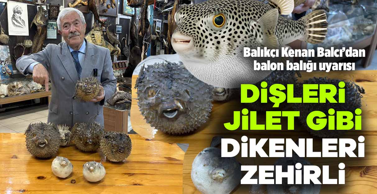 Balıkçı Kenan Balcı uyardı: Dişleri jilet gibi dikenleri zehirli