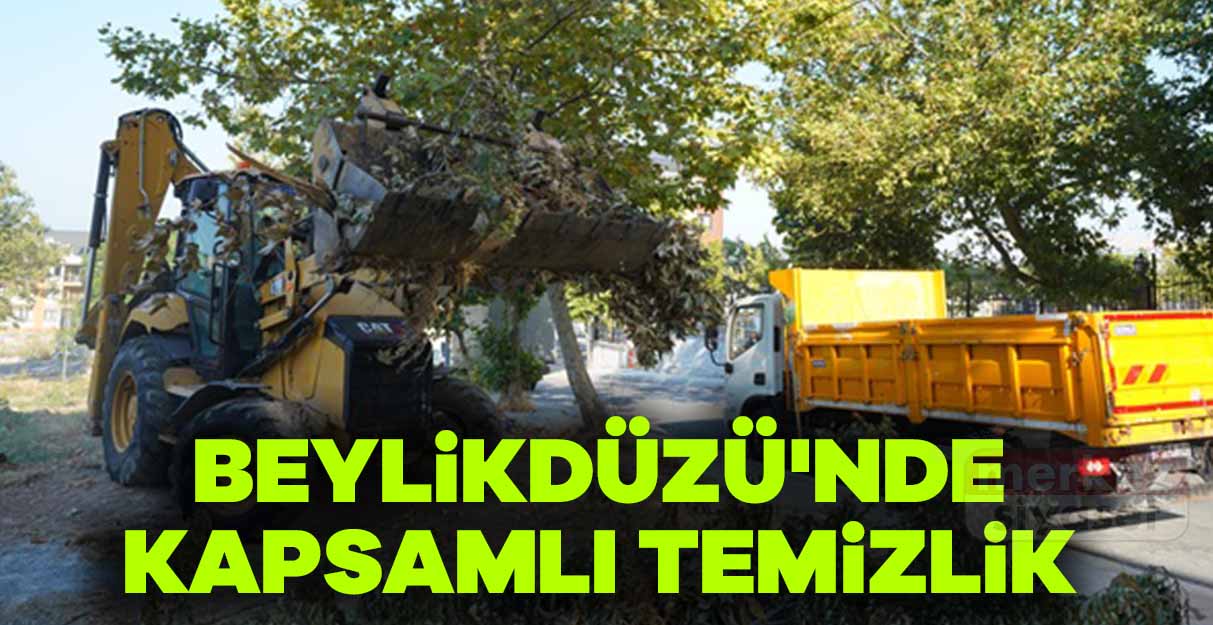 Beylikdüzü’nde kapsamlı temizlik