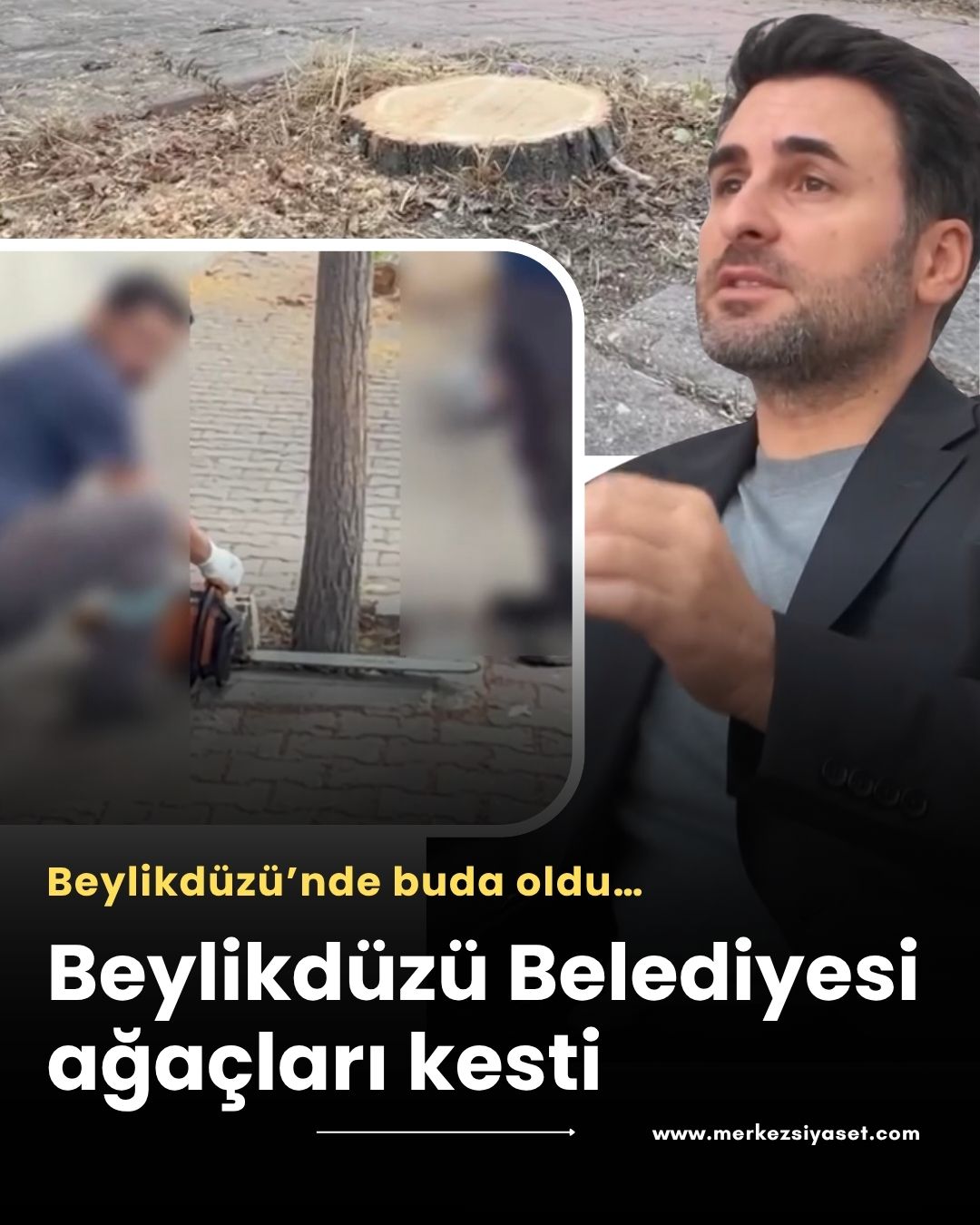 Beylikdüzü Belediyesi ağaçları kesti