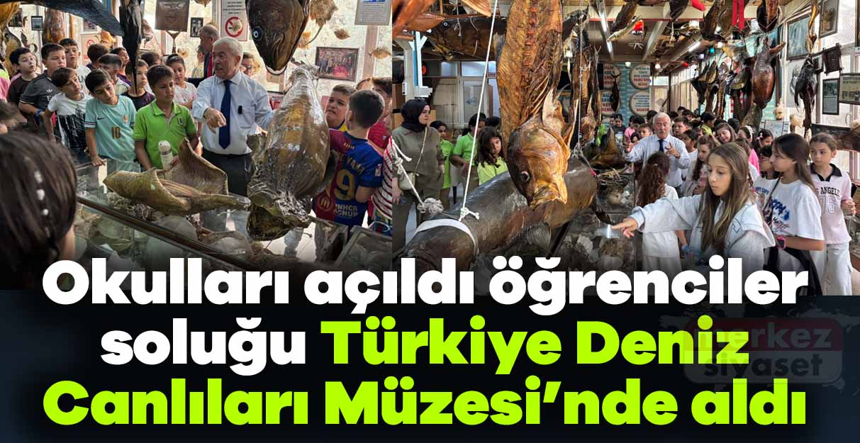 Okulları açıldı öğrenciler soluğu Türkiye Deniz Canlıları Müzesi’nde aldı